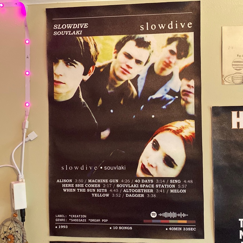 12x18 inch slow dive poster